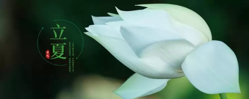挂蛋是哪个节气的习俗呢,挂蛋是立夏节气的传统习俗吗插图 挂蛋是哪个节气的习俗呢,挂蛋是立夏节气的传统习俗吗插图