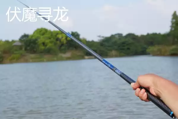 黑坑竞技钓鲤鱼用哪种鱼竿,黑坑竞技钓鲤鱼可选用本汀隼等竿型吗插图5