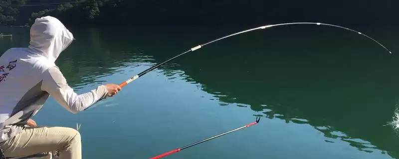 钓鲫鱼的提竿时机情况,钓鲫鱼在什么漂相时提竿合适插图 钓鲫鱼的提竿时机情况,钓鲫鱼在什么漂相时提竿合适插图