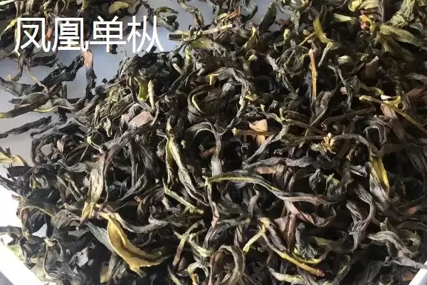 广东名茶排行榜是怎样的,广东是饮茶大省有哪些名茶上榜呢插图7 广东名茶排行榜是怎样的,广东是饮茶大省有哪些名茶上榜呢插图7