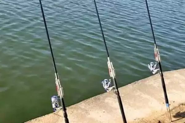 海竿怎么抛竿才更熟练呢,海竿抛竿只有多抛多练才能熟能生巧吗插图2 海竿怎么抛竿才更熟练呢,海竿抛竿只有多抛多练才能熟能生巧吗插图2