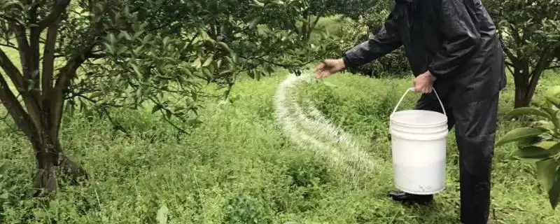 果树秋季施肥有什么好处呢,果树秋季施肥有助于较大限度吸收营养吗插图 果树秋季施肥有什么好处呢,果树秋季施肥有助于较大限度吸收营养吗插图