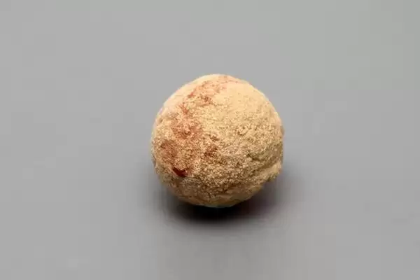 狗得了结石怎么解决,狗结石小且症状轻可药物治疗吗插图6