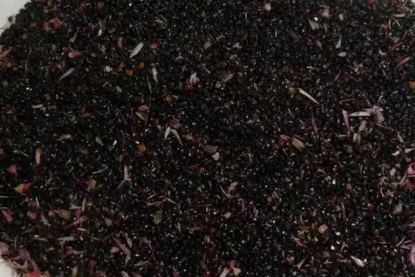 鸡冠花种子种夏播于芒种后对,鸡冠花种子怎么种,播种时间准确吗?插图2 鸡冠花种子种夏播于芒种后对,鸡冠花种子怎么种,播种时间准确吗?插图2