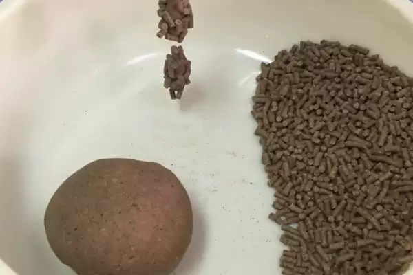 海竿可以浮钓鲢鳙鱼吗,海竿浮钓鲢鱼相对来说比较容易吗插图3