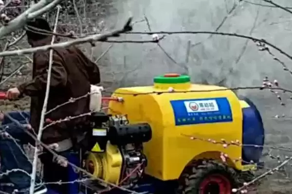 果树白粉病用什么药治疗,果树不同生长期白粉病的用药方法不同吗插图1 果树白粉病用什么药治疗,果树不同生长期白粉病的用药方法不同吗插图1