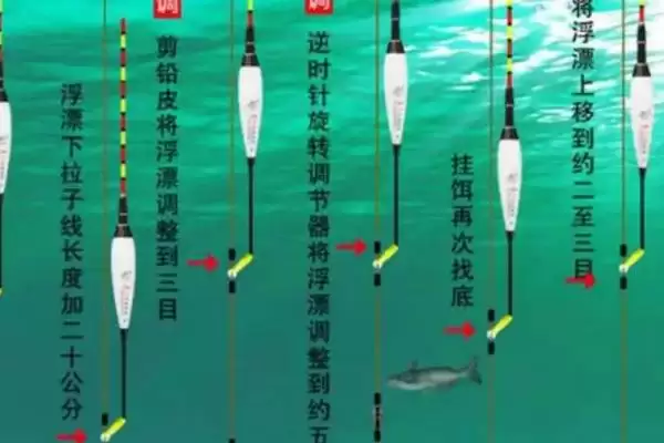 何时用红虫钓鱼比较合适呢,红虫适合在早春、深秋、冬季用来钓鱼吗插图4