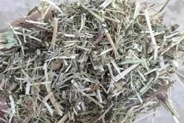 给兔子喂食花生秧注意 ,给兔子喂食花生秧有哪些注意事项插图2 给兔子喂食花生秧注意 ,给兔子喂食花生秧有哪些注意事项插图2