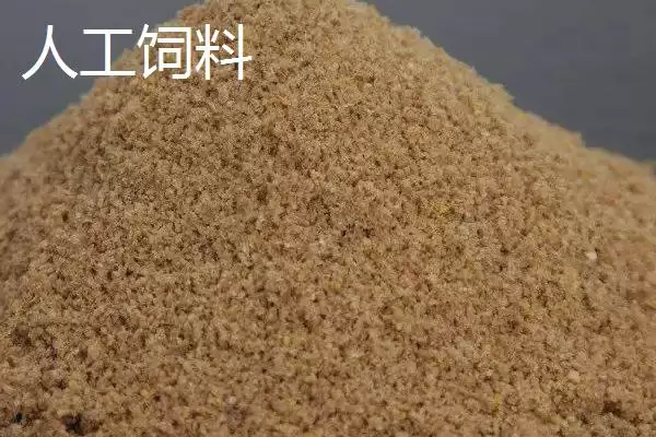 观赏鱼的饲料有哪些种类,观赏鱼饲料有天然和人工饵料两种吗插图4 观赏鱼的饲料有哪些种类,观赏鱼饲料有天然和人工饵料两种吗插图4