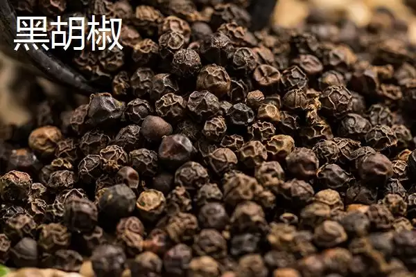 黑胡椒和白胡椒有何区别呢,黑胡椒和白胡椒在加工和使用方法上有差异吗插图1 黑胡椒和白胡椒有何区别呢,黑胡椒和白胡椒在加工和使用方法上有差异吗插图1