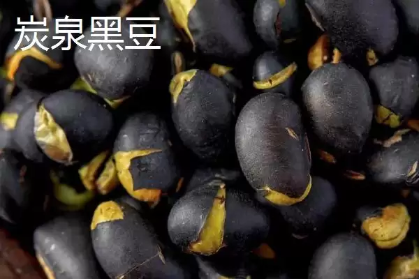 吉林伊通特产伊通大米知名度高,吉林省伊通满族自治县的特产,伊通大米情况?插图8 吉林伊通特产伊通大米知名度高,吉林省伊通满族自治县的特产,伊通大米情况?插图8