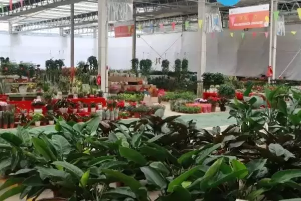 花卉场装地暖吗冬季装地暖合适吗,花卉养殖场冬季适合安装地暖吗,有何利弊?插图2 花卉场装地暖吗冬季装地暖合适吗,花卉养殖场冬季适合安装地暖吗,有何利弊?插图2