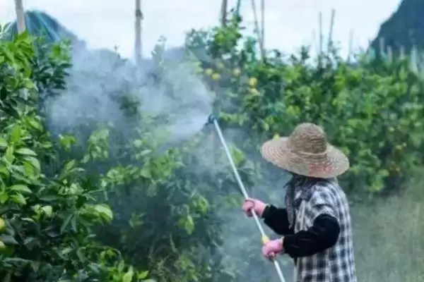 高氯甲维盐用法用量 ,高氯甲维盐的用法和用量是怎样的插图2