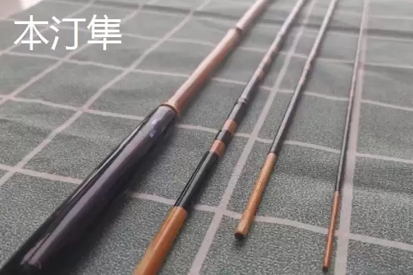 黑坑竞技钓鲤鱼用哪种鱼竿,黑坑竞技钓鲤鱼可选用本汀隼等竿型吗插图1