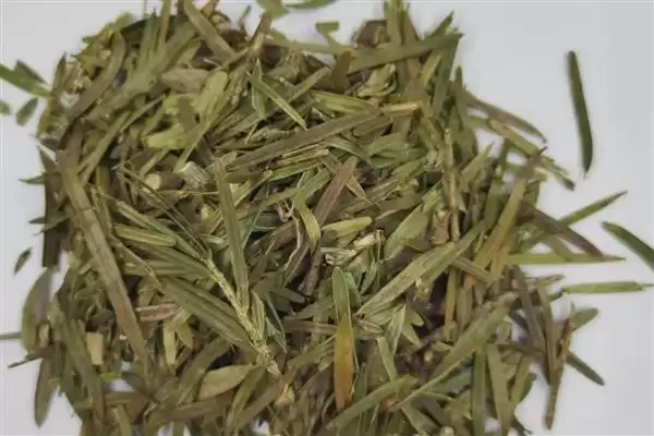 红豆杉有什么价值和用途呢,红豆杉可观赏、入药、制家具是其价值吗插图1 红豆杉有什么价值和用途呢,红豆杉可观赏、入药、制家具是其价值吗插图1