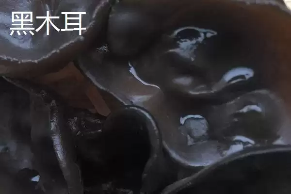 黑龙江的特产主要有哪些呢,黑龙江是“大马哈鱼之乡”还有啥特产呢插图8 黑龙江的特产主要有哪些呢,黑龙江是“大马哈鱼之乡”还有啥特产呢插图8