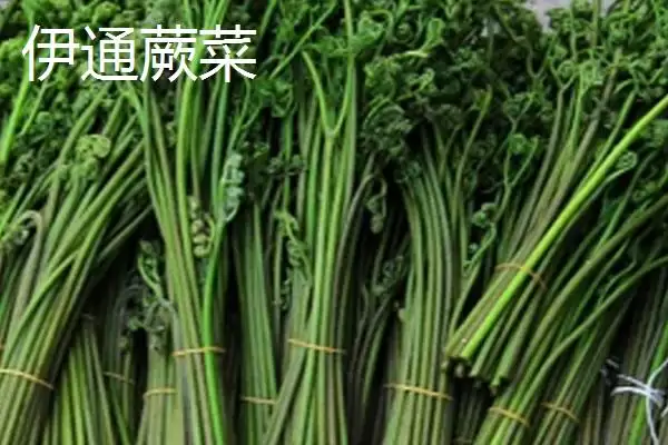 吉林伊通特产伊通大米知名度高,吉林省伊通满族自治县的特产,伊通大米情况?插图3 吉林伊通特产伊通大米知名度高,吉林省伊通满族自治县的特产,伊通大米情况?插图3