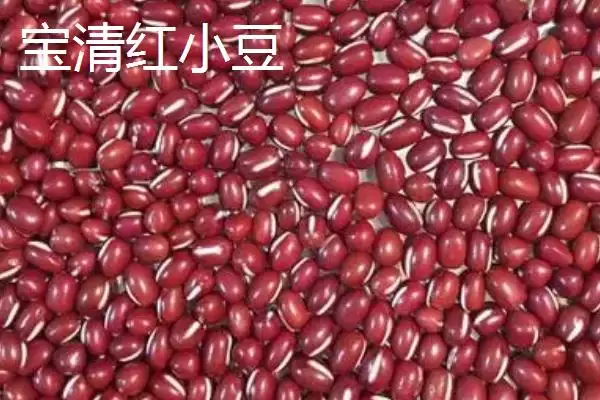 黑龙江的特产主要有哪些呢,黑龙江是“大马哈鱼之乡”还有啥特产呢插图5 黑龙江的特产主要有哪些呢,黑龙江是“大马哈鱼之乡”还有啥特产呢插图5