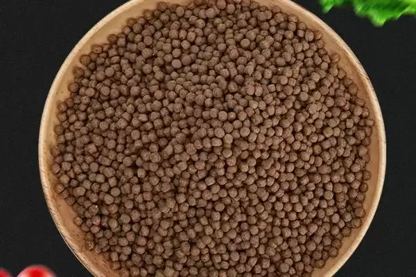 观赏鱼不喂能存活多少天,观赏鱼不喂一般能活一个月左右吗插图4 观赏鱼不喂能存活多少天,观赏鱼不喂一般能活一个月左右吗插图4