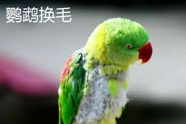 高趴低趴含义解释 ,高趴低趴分别是指什么意思插图3 高趴低趴含义解释 ,高趴低趴分别是指什么意思插图3