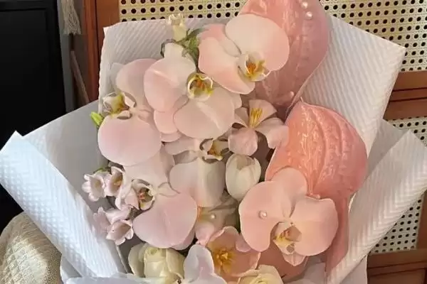 蝴蝶兰花语寓意有何寓意象征事业顺,蝴蝶兰的花语有何寓意,真能寓意事业发达?插图3 蝴蝶兰花语寓意有何寓意象征事业顺,蝴蝶兰的花语有何寓意,真能寓意事业发达?插图3
