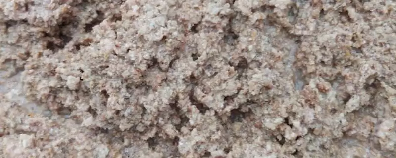 花生麸发酵问借助发酵剂真必要,花生麸怎么发酵,一般要借助发酵剂吗?插图 花生麸发酵问借助发酵剂真必要,花生麸怎么发酵,一般要借助发酵剂吗?插图