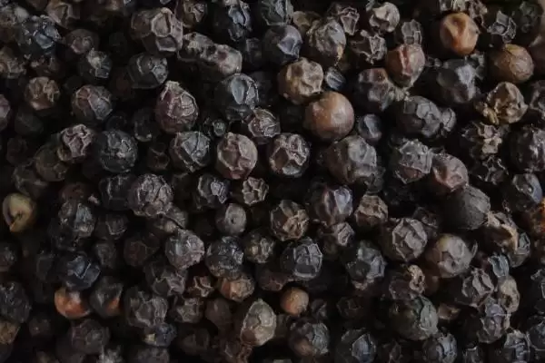 胡椒有哪些常见的品种呢,胡椒主要分为黑、白、绿、红胡椒这些品种吗插图1 胡椒有哪些常见的品种呢,胡椒主要分为黑、白、绿、红胡椒这些品种吗插图1