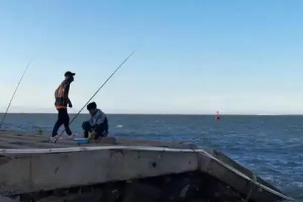 海钓用什么鱼饵比较合适呢,海钓可选择环虫、贝类等类型鱼饵吗插图3