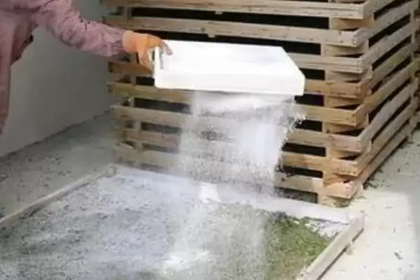 蚕的养殖方法和要点有哪些呢,蚕的养殖方法插图11