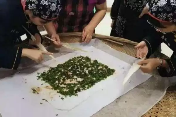 蚕的养殖方法和要点有哪些呢,蚕的养殖方法插图3