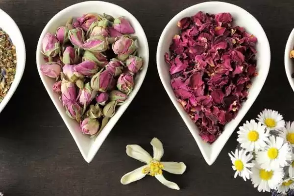 花茶种类知多少蓟花香橼等常见吗,花茶的种类，常见的有蓟花等哪些？插图1