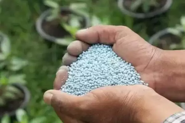 硅肥一亩地的用量是多少,硅肥一亩地用量根据不同地块土壤定吗插图2 硅肥一亩地的用量是多少,硅肥一亩地用量根据不同地块土壤定吗插图2