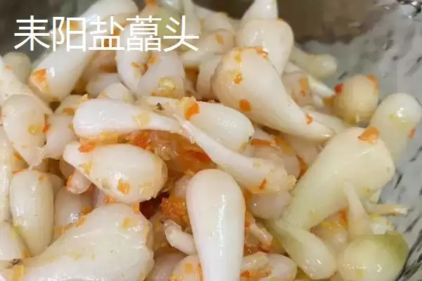 湖南芷江特产雪峰山鱼腥草为啥是宝,湖南芷江侗族自治县的雪峰山鱼腥草是特产?插图8 湖南芷江特产雪峰山鱼腥草为啥是宝,湖南芷江侗族自治县的雪峰山鱼腥草是特产?插图8