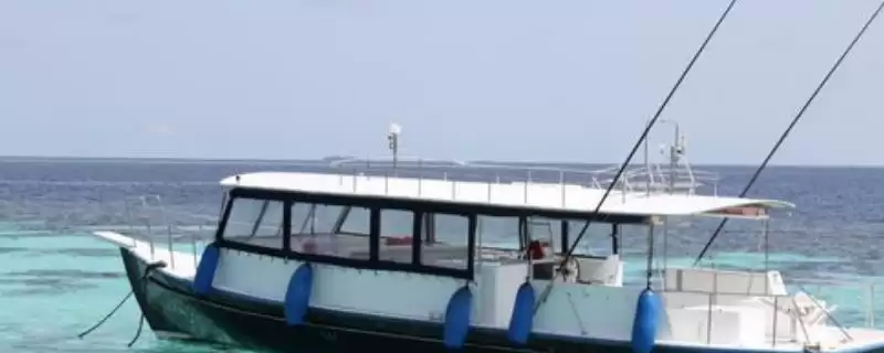 海钓的基本装备有哪些呢,海钓哪些基本装备是必不可少的呢插图 海钓的基本装备有哪些呢,海钓哪些基本装备是必不可少的呢插图