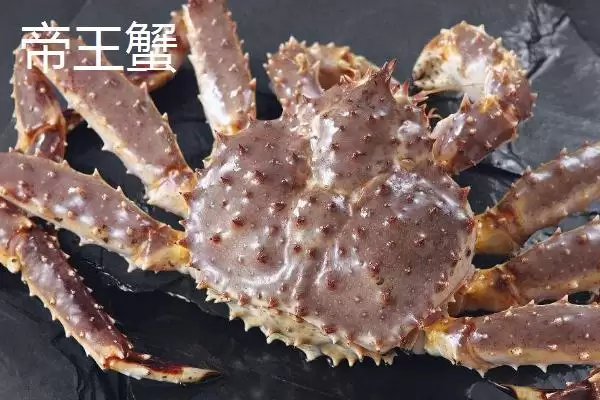 红毛蟹是什么种类的蟹呢,红毛蟹因体色呈红色而得名是这样吗插图4 红毛蟹是什么种类的蟹呢,红毛蟹因体色呈红色而得名是这样吗插图4