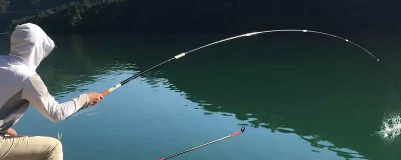 何时用红虫钓鱼比较合适呢,红虫适合在早春、深秋、冬季用来钓鱼吗-会东网