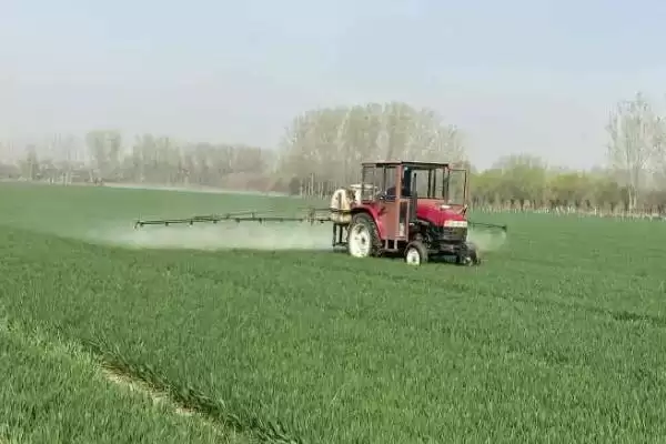 呋虫胺灭杀对象 ,呋虫胺可以防治哪些害虫插图3 呋虫胺灭杀对象 ,呋虫胺可以防治哪些害虫插图3