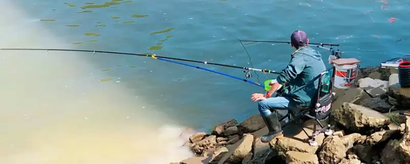 鲫鱼竿十品牌达瓦工艺精湛,鲫鱼竿十大品牌排行,达瓦优势在哪?插图 鲫鱼竿十品牌达瓦工艺精湛,鲫鱼竿十大品牌排行,达瓦优势在哪?插图