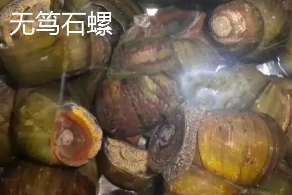 广东省四会市的特产是什么,四会玉器是广东省四会市闻名特产吗插图4 广东省四会市的特产是什么,四会玉器是广东省四会市闻名特产吗插图4