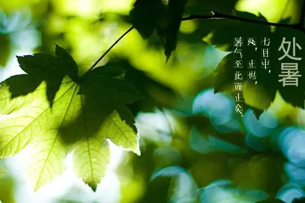 谷雨节气的来源是什么,谷雨节气因天上降雨谷物生长而得名吗插图3