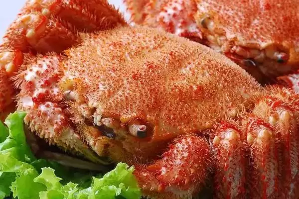 红毛蟹是什么种类的蟹呢,红毛蟹因体色呈红色而得名是这样吗插图2 红毛蟹是什么种类的蟹呢,红毛蟹因体色呈红色而得名是这样吗插图2