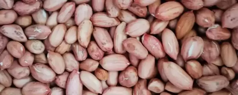 花生仁保存法冷藏阴凉哪种好呢,花生仁的保存方法，两种方式咋选？-会东网