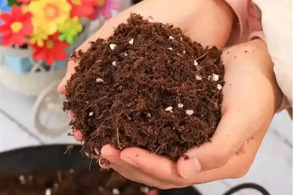 花卉盆栽土配制咋按植株选基质呢,花卉盆栽土如何配制，依生长选基质？插图2