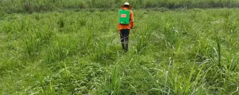 打除草剂的喷雾器怎样清洗呢,打除草剂的喷雾器怎样清洗-会东网