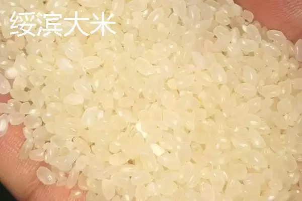 黑龙江省绥滨县的特产是什么,黑垦二九〇红小豆是黑龙江绥滨地理标志特产吗插图3 黑龙江省绥滨县的特产是什么,黑垦二九〇红小豆是黑龙江绥滨地理标志特产吗插图3