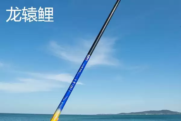 高碳竿使用寿命问题 ,高碳竿的使用寿命一般有多长插图5 高碳竿使用寿命问题 ,高碳竿的使用寿命一般有多长插图5