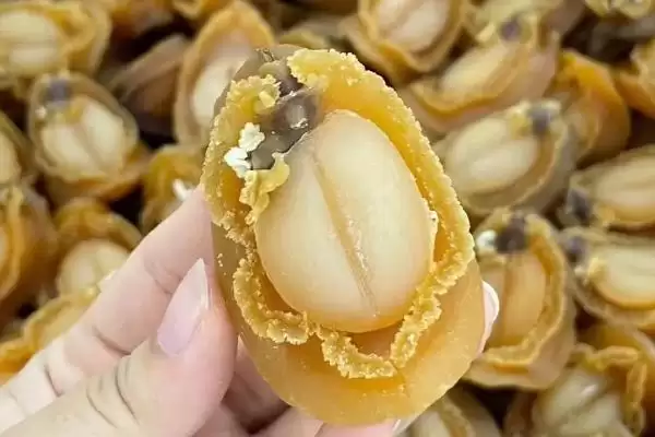 鲍鱼几头鲍是什么意思和含义呢,鲍鱼几头鲍是什么意思插图3 鲍鱼几头鲍是什么意思和含义呢,鲍鱼几头鲍是什么意思插图3