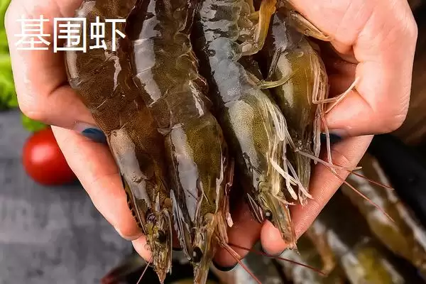 基围虾普通虾两者区别哪个贵,基围虾和普通虾有什么区别,价格差异呢?插图1 基围虾普通虾两者区别哪个贵,基围虾和普通虾有什么区别,价格差异呢?插图1