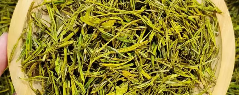 黄金茶价格问受产地等级影响,黄金茶的价格,受哪些因素决定呢?插图 黄金茶价格问受产地等级影响,黄金茶的价格,受哪些因素决定呢?插图