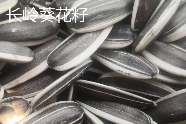 吉林伊通特产伊通大米知名度高,吉林省伊通满族自治县的特产,伊通大米情况?插图10 吉林伊通特产伊通大米知名度高,吉林省伊通满族自治县的特产,伊通大米情况?插图10